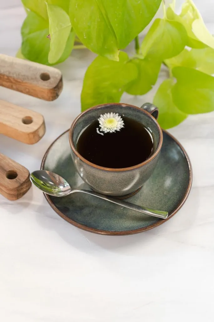 Té y tisanas